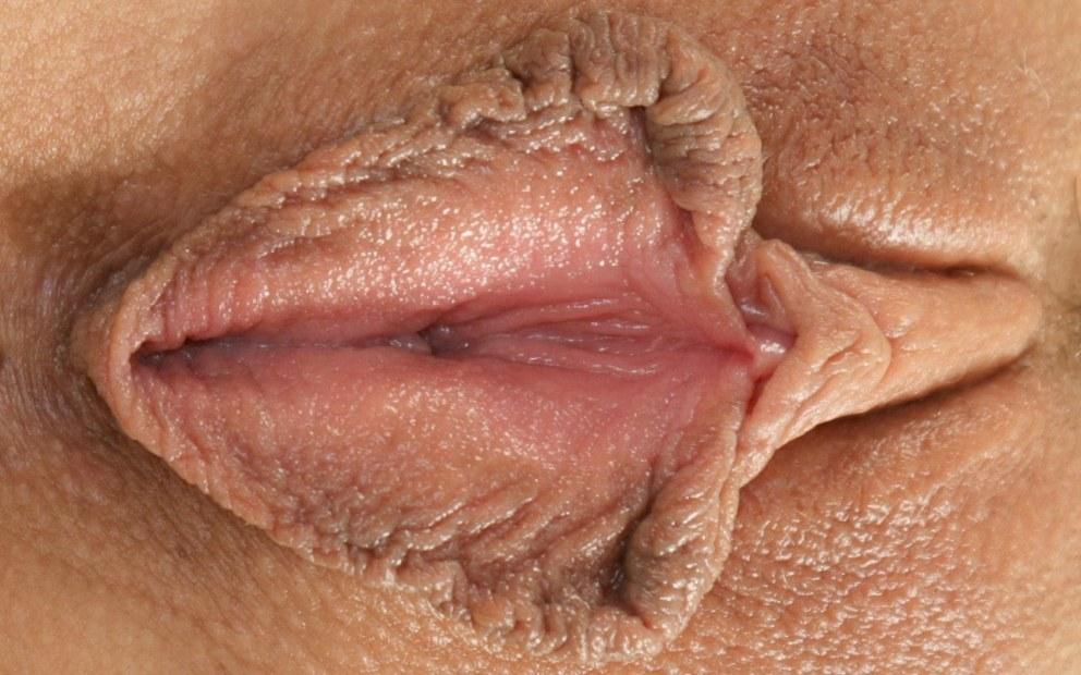 Женские киски крупным планом