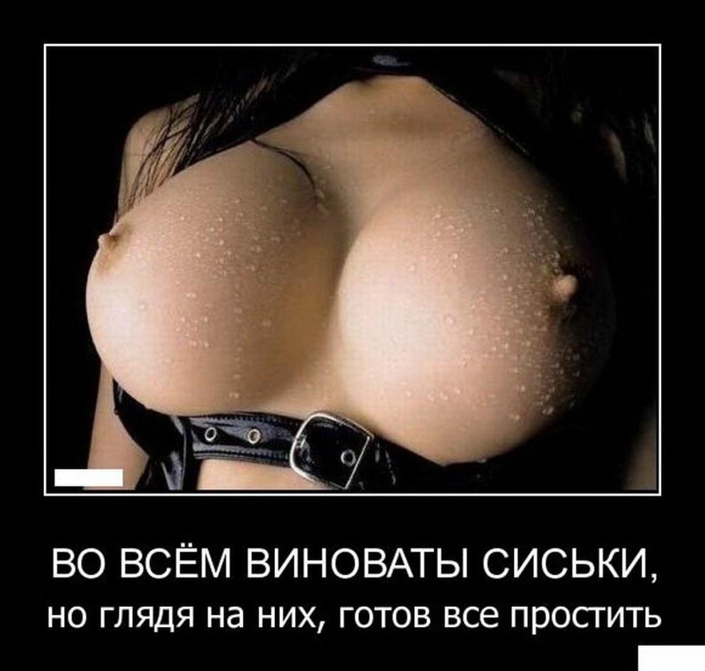 Эротические демотиваторы